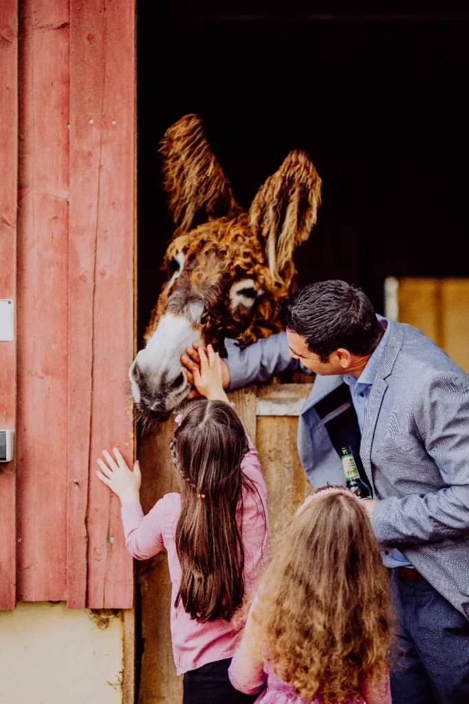 hochzeitsfotograf-stuttgart-sven-herbst-lana-salta-events-1482