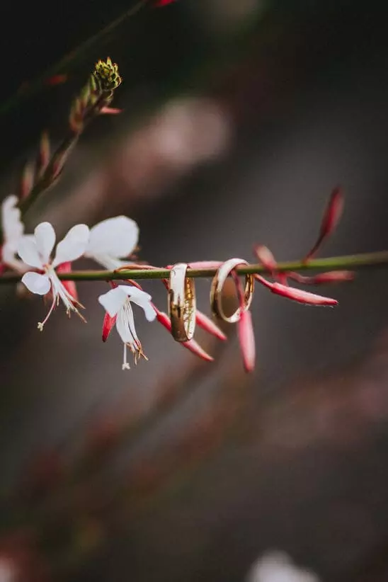 hochzeitsfotograf-stuttgart-sven-herbst-gasthaus-obere-saege-niedereschach-carina-denis-1426