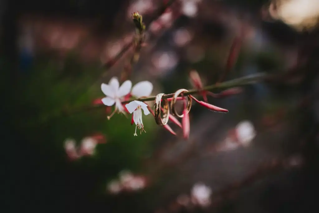 hochzeitsfotograf-stuttgart-sven-herbst-gasthaus-obere-saege-niedereschach-carina-denis-1428