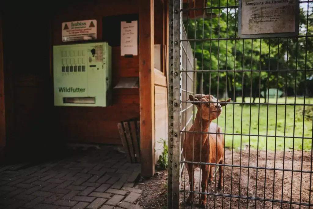 hochzeitsfotograf-stuttgart-sven-herbst-gasthaus-obere-saege-niedereschach-carina-denis-466